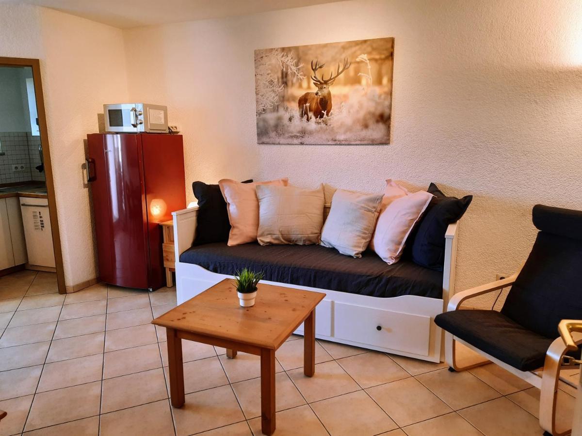 Residenz Schauinsland, Ganzes Appartement, Sauna Todtnau Esterno foto