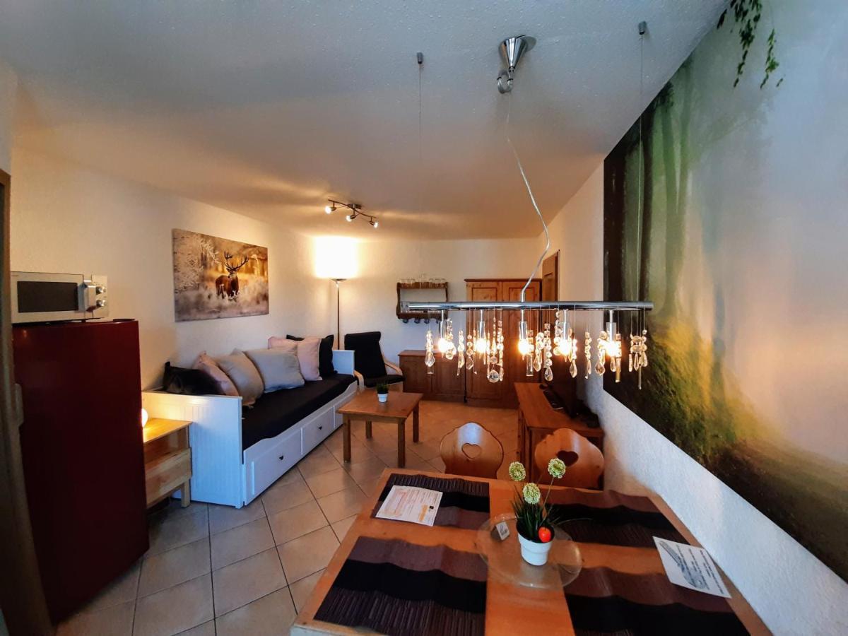 Residenz Schauinsland, Ganzes Appartement, Sauna Todtnau Esterno foto