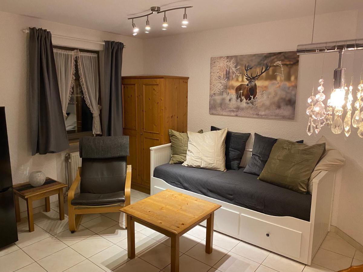 Residenz Schauinsland, Ganzes Appartement, Sauna Todtnau Esterno foto