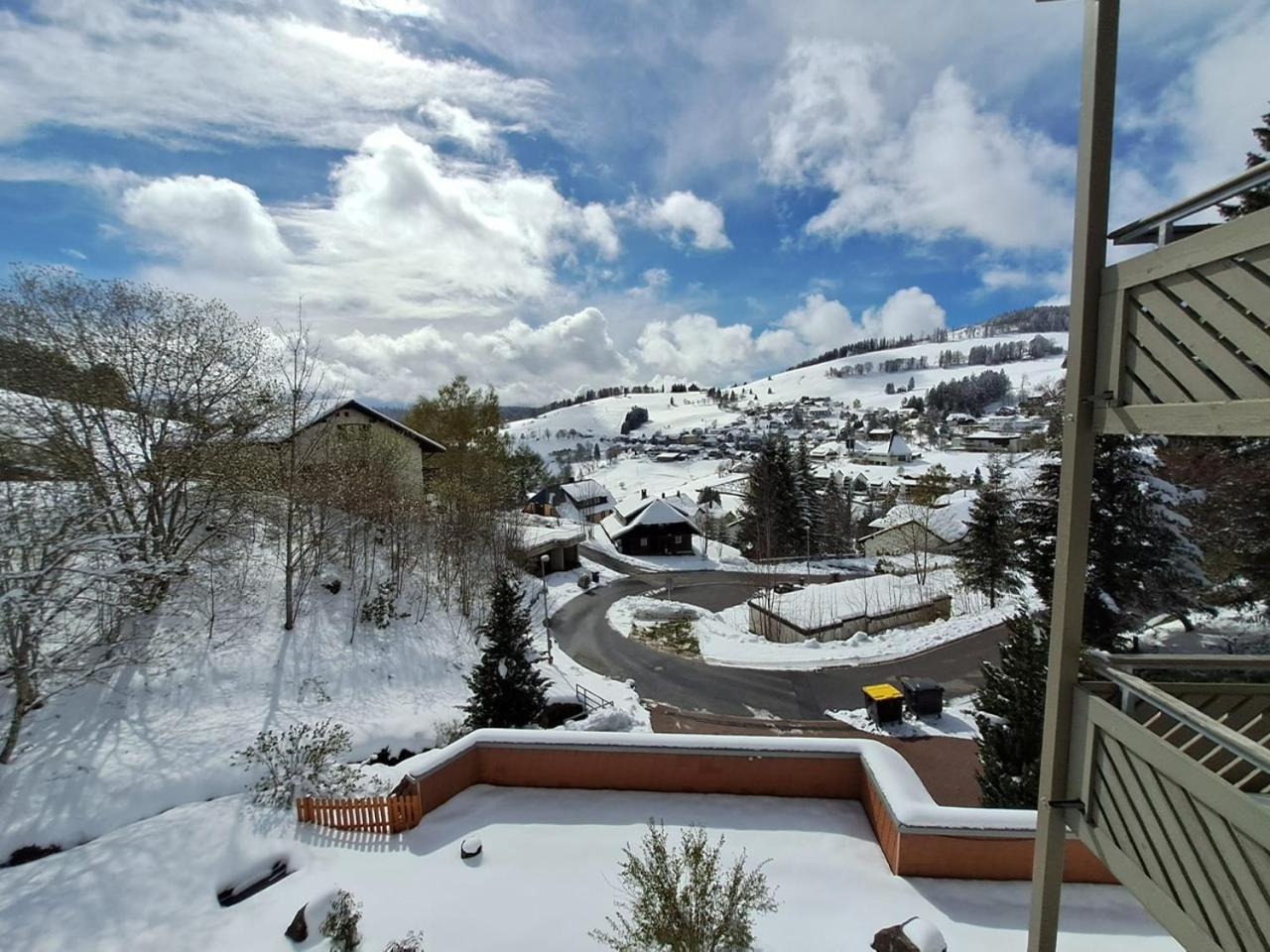 Residenz Schauinsland, Ganzes Appartement, Sauna Todtnau Esterno foto