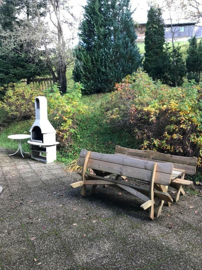 Residenz Schauinsland, Ganzes Appartement, Sauna Todtnau Esterno foto